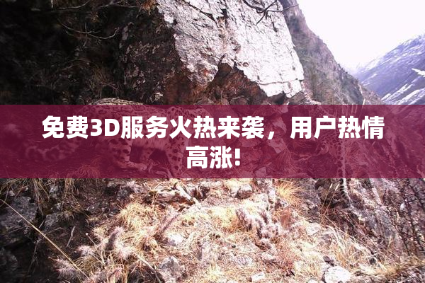 免费3D服务火热来袭，用户热情高涨!