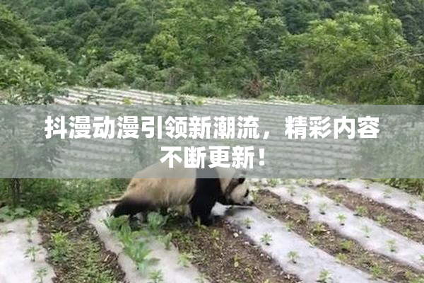 抖漫动漫引领新潮流，精彩内容不断更新！