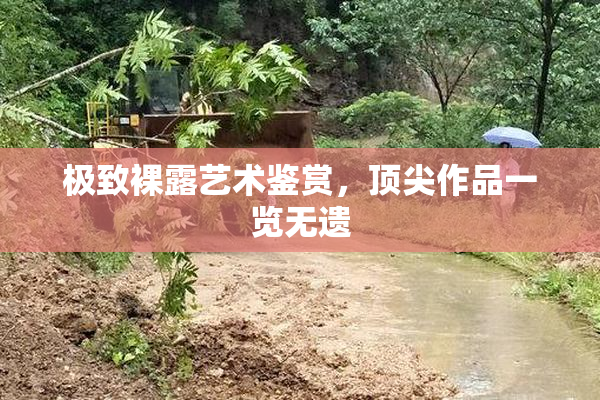 极致裸露艺术鉴赏，顶尖作品一览无遗