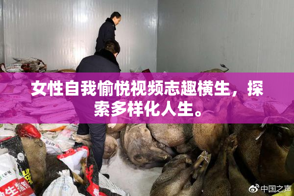 女性自我愉悦视频志趣横生，探索多样化人生。