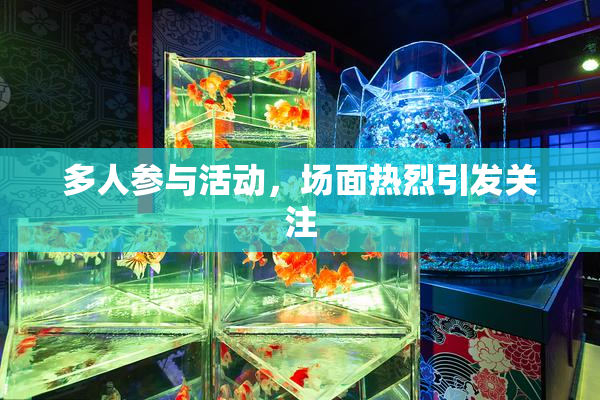 多人参与活动，场面热烈引发关注