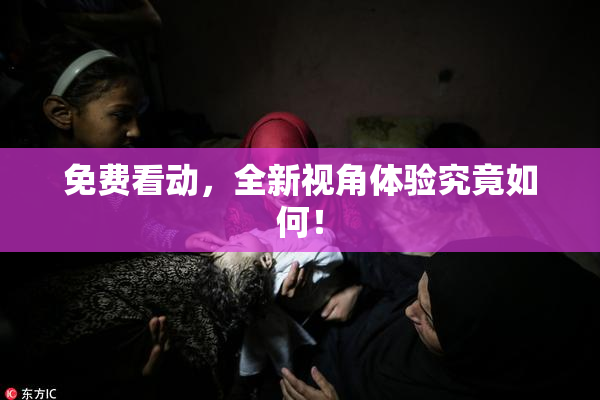 免费看动，全新视角体验究竟如何！