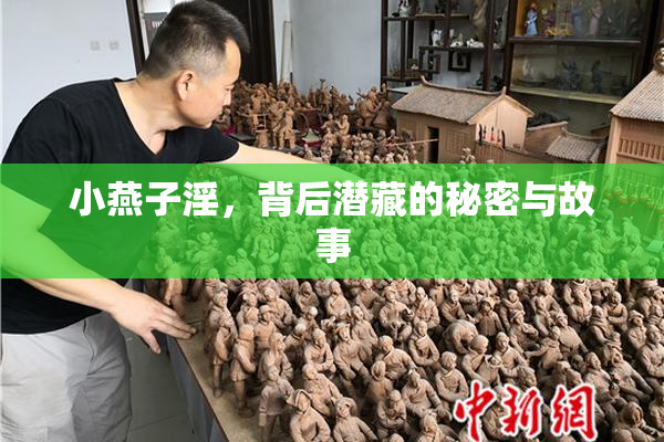 小燕子淫，背后潜藏的秘密与故事