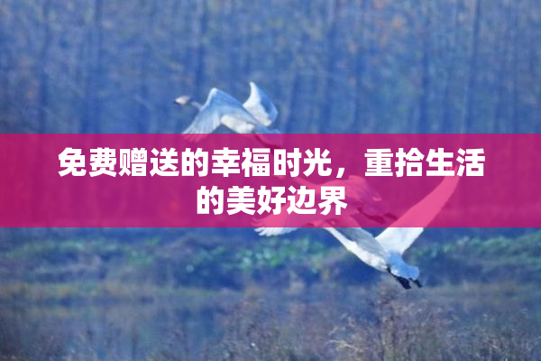 免费赠送的幸福时光，重拾生活的美好边界
