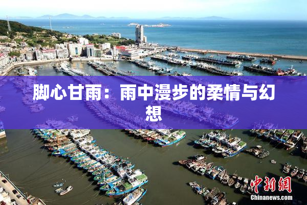 脚心甘雨：雨中漫步的柔情与幻想