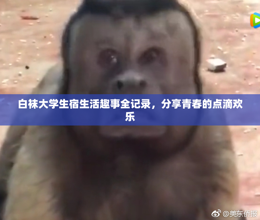 白袜大学生宿生活趣事全记录，分享青春的点滴欢乐