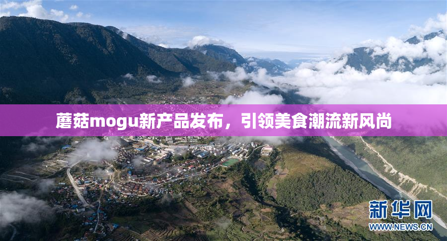 蘑菇mogu新产品发布，引领美食潮流新风尚