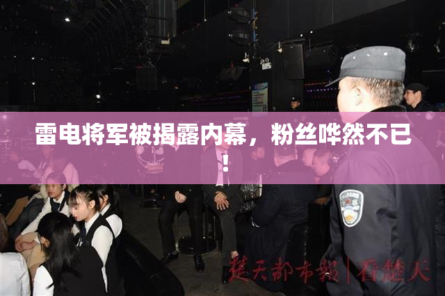 雷电将军被揭露内幕，粉丝哗然不已！