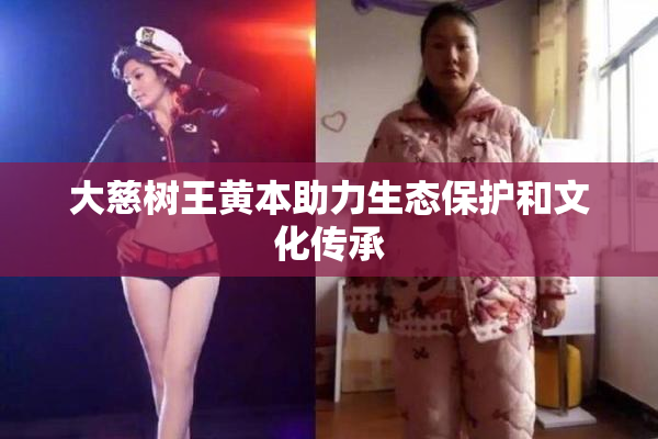 大慈树王黄本助力生态保护和文化传承