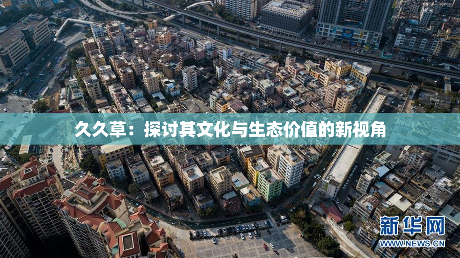 久久草：探讨其文化与生态价值的新视角