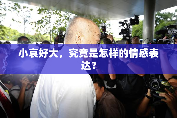 小哀好大，究竟是怎样的情感表达？