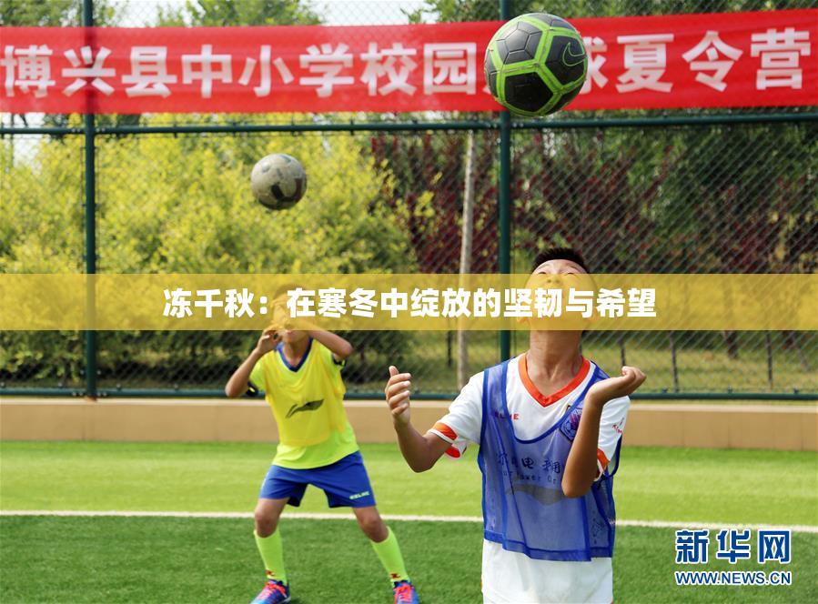 冻千秋：在寒冬中绽放的坚韧与希望