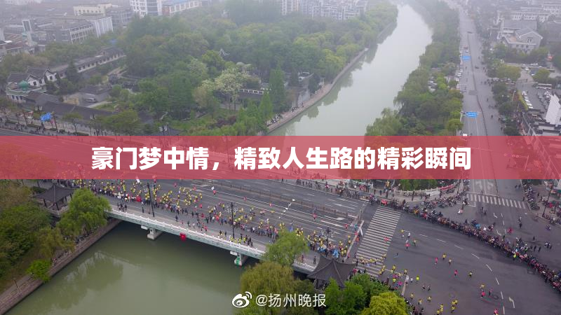 豪门梦中情，精致人生路的精彩瞬间