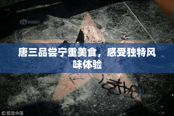 唐三品尝宁重美食，感受独特风味体验