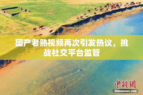 国产老熟视频再次引发热议，挑战社交平台监管