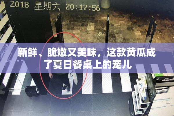 新鲜、脆嫩又美味，这款黄瓜成了夏日餐桌上的宠儿