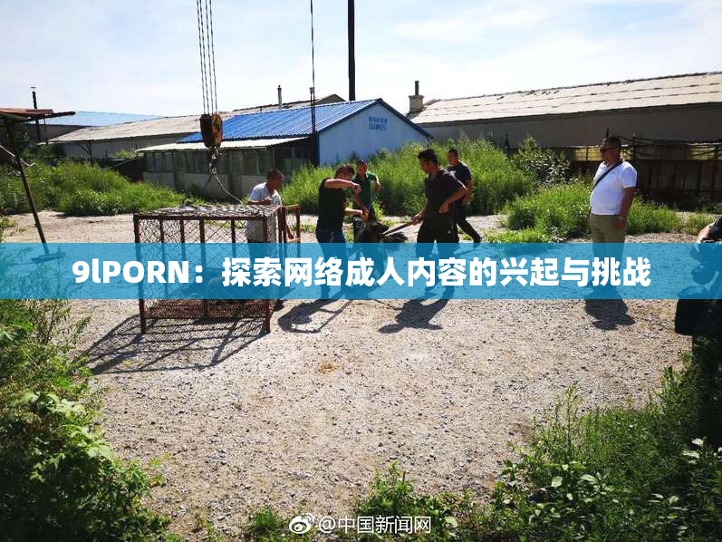 9lPORN：探索网络成人内容的兴起与挑战