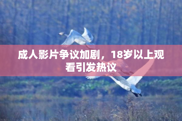 成人影片争议加剧，18岁以上观看引发热议