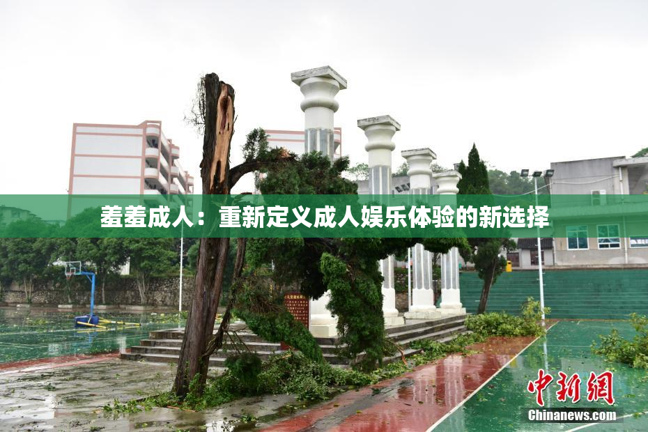 羞羞成人：重新定义成人娱乐体验的新选择