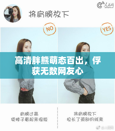 高清胖熊萌态百出，俘获无数网友心