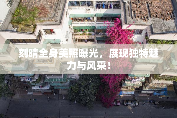 刻晴全身美照曝光，展现独特魅力与风采！