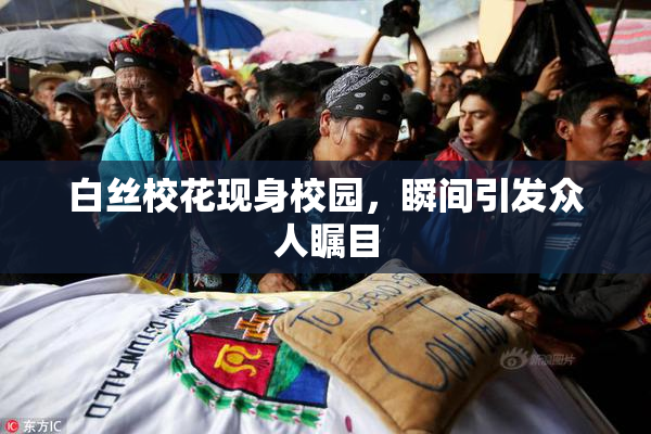 白丝校花现身校园，瞬间引发众人瞩目