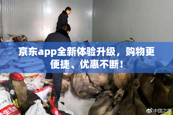 京东app全新体验升级，购物更便捷、优惠不断！