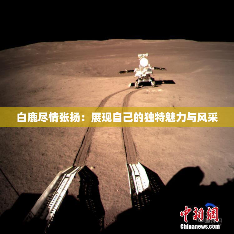 白鹿尽情张扬：展现自己的独特魅力与风采