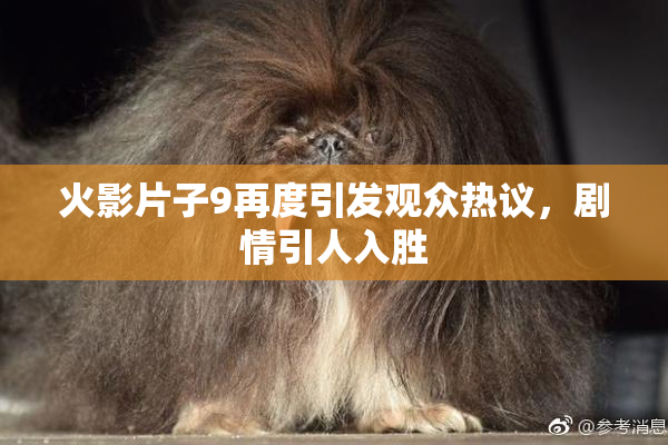 火影片子9再度引发观众热议，剧情引人入胜