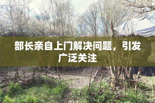 部长亲自上门解决问题，引发广泛关注