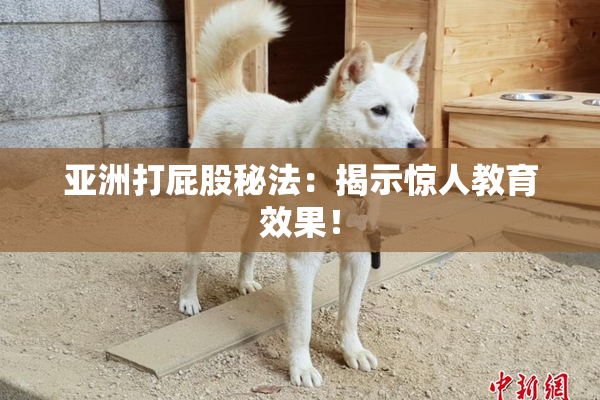 亚洲打屁股秘法：揭示惊人教育效果！