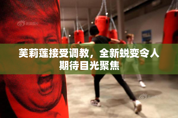 芙莉莲接受调教，全新蜕变令人期待目光聚焦
