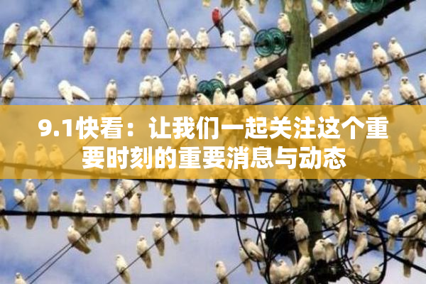 9.1快看：让我们一起关注这个重要时刻的重要消息与动态