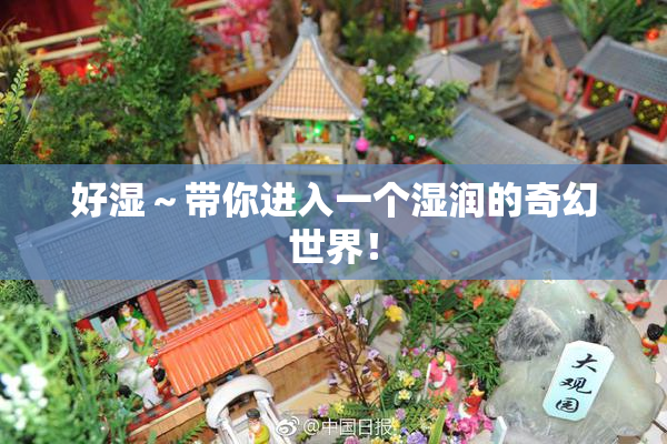好湿～带你进入一个湿润的奇幻世界！