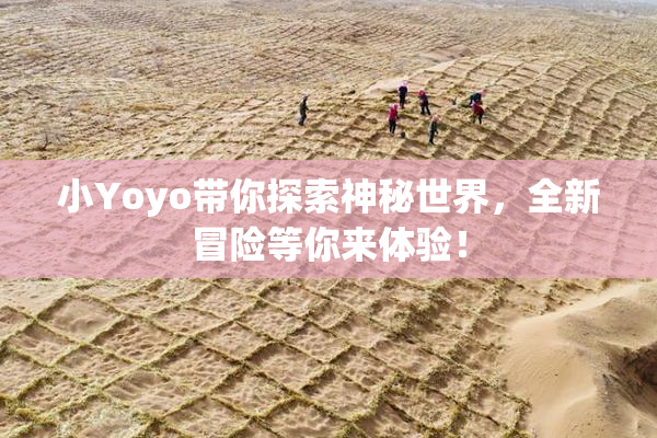 小Yoyo带你探索神秘世界，全新冒险等你来体验！