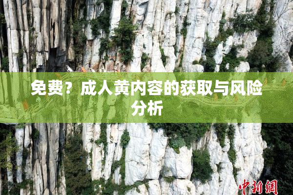 免费？成人黄内容的获取与风险分析