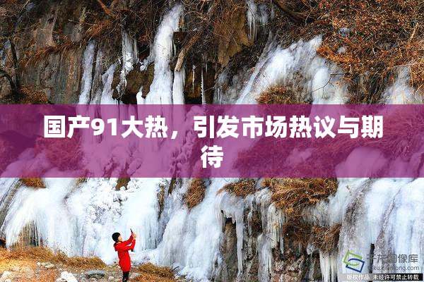 国产91大热，引发市场热议与期待