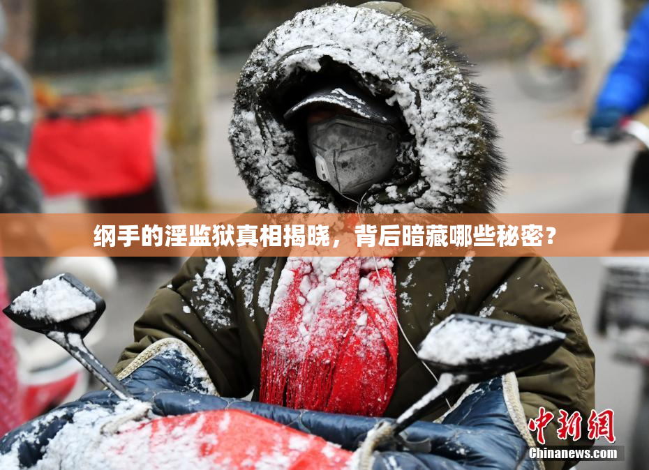 纲手的淫监狱真相揭晓，背后暗藏哪些秘密？