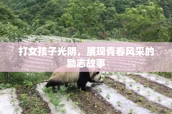 打女孩子光阴，展现青春风采的励志故事