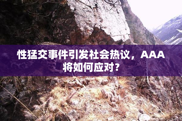 性猛交事件引发社会热议，AAA将如何应对？