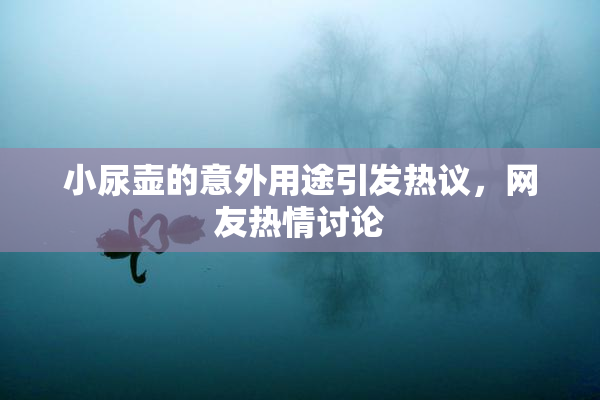 小尿壶的意外用途引发热议，网友热情讨论