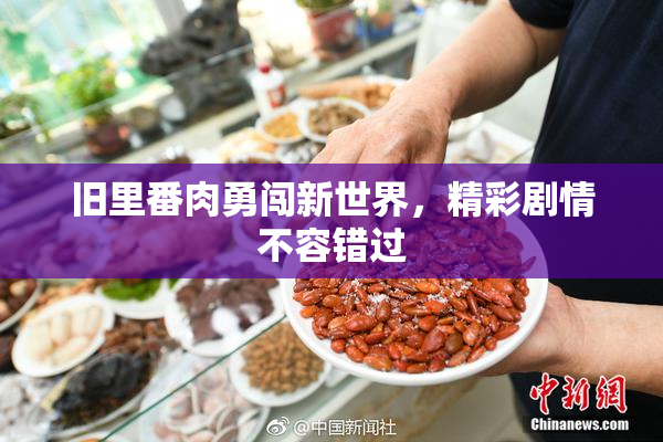 旧里番肉勇闯新世界，精彩剧情不容错过
