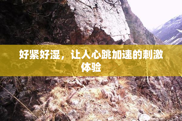 好紧好湿，让人心跳加速的刺激体验