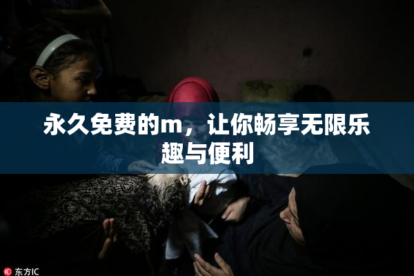 永久免费的m，让你畅享无限乐趣与便利