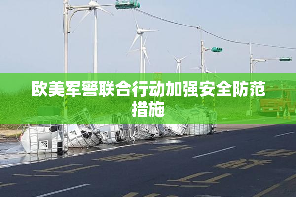 欧美军警联合行动加强安全防范措施