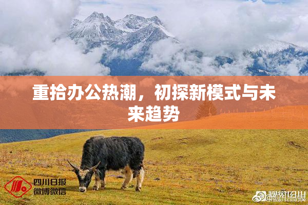 重拾办公热潮，初探新模式与未来趋势