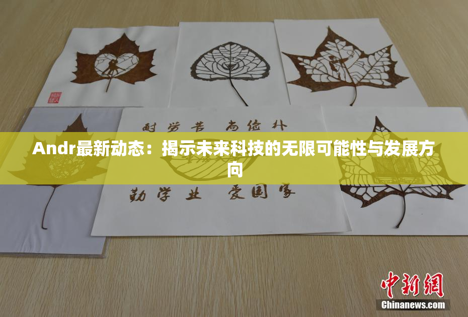 Andr最新动态：揭示未来科技的无限可能性与发展方向