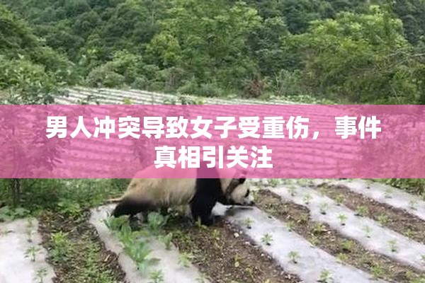 男人冲突导致女子受重伤，事件真相引关注