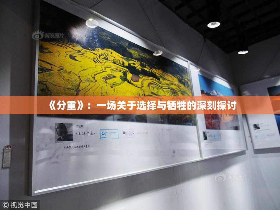 《分重》：一场关于选择与牺牲的深刻探讨