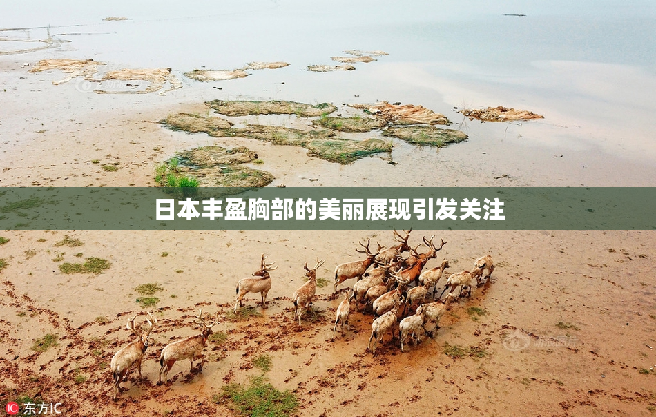 日本丰盈胸部的美丽展现引发关注